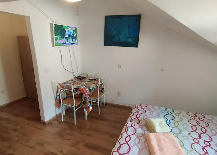 Apartamento Dejan Apartment4-top Centar