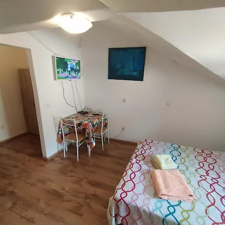 Apartment Dejan Apartment4-top Centar